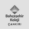 Evren Yiğit | Bahçeşehir Koleji | Sıradışı Digital